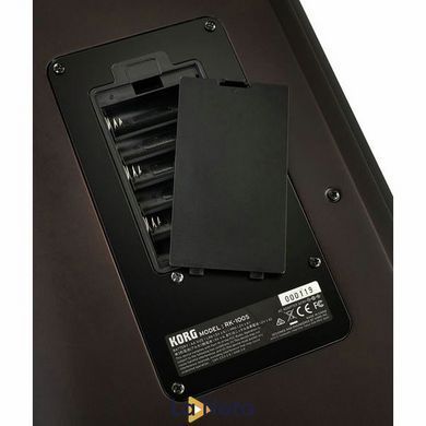 Синтезатор Korg RK-100S 2 Black