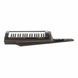 Синтезатор Korg RK-100S 2 Black