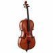 Виолончель Alfred Stingl by H&ouml;fner AS-190-C Cello Set 1/2