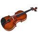 Акустическая скрипка Eastman Albert Nebel Violin VL601G+