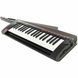 Синтезатор Korg RK-100S 2 Black