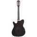 Классическая гитара Ibanez TOD10N