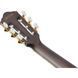 Классическая гитара Ibanez TOD10N