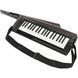 Синтезатор Korg RK-100S 2 Black