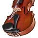 Акустическая скрипка Eastman Albert Nebel Violin VL601G+