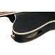 Классическая гитара Ibanez TOD10N