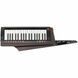 Синтезатор Korg RK-100S 2 Black