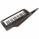 Синтезатор Korg RK-100S 2 Black