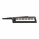 Синтезатор Korg RK-100S 2 Black