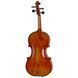 Акустическая скрипка Eastman Albert Nebel Violin VL601G+