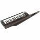 Синтезатор Korg RK-100S 2 Black