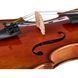 Акустическая скрипка Eastman Albert Nebel Violin VL601G+
