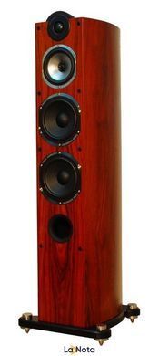 Підлогова акустика Taga Harmony Platinum F-100 SE Rosewood Veneer Matt Lacquer