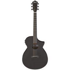 Акустическая гитара Ibanez AEWC13-WK