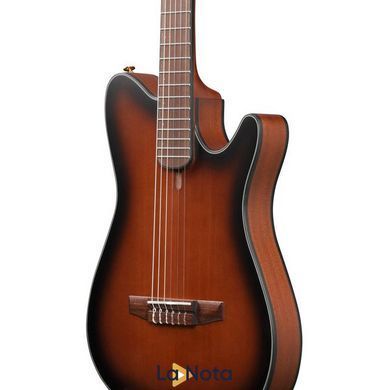 Классическая гитара Ibanez FRH10N-BSF