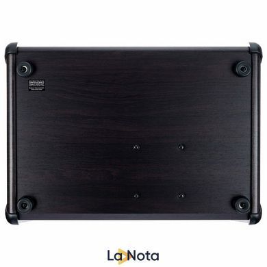 Комбоусилитель Boss ACS Acoustic Singer Pro