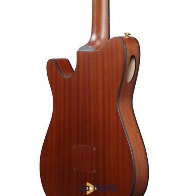 Классическая гитара Ibanez FRH10N-BSF