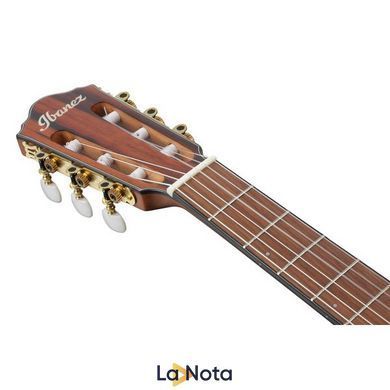 Классическая гитара Ibanez FRH10N-BSF