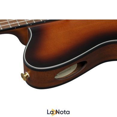 Классическая гитара Ibanez FRH10N-BSF