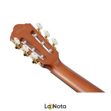 Классическая гитара Ibanez FRH10N-BSF