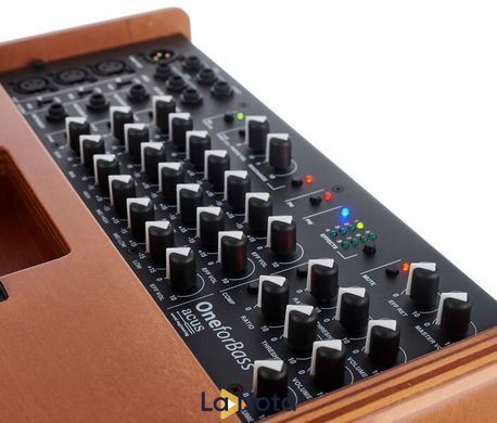 Комбопідсилювач Acus One for Bass Wood