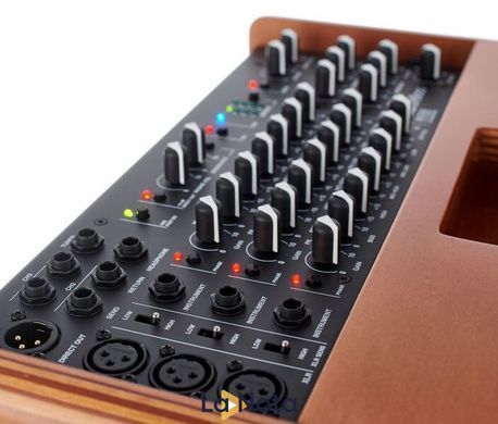 Комбопідсилювач Acus One for Bass Wood