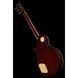 Електрогітара Larry Carlton L7V GD Top