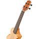 Укулеле Ibanez AUC10E-OPN