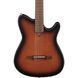 Классическая гитара Ibanez FRH10N-BSF