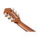 Классическая гитара Ibanez FRH10N-BSF