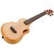 Укулеле Ibanez AUC10E-OPN