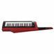 Синтезатор Korg RK-100S 2 Red