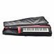 Синтезатор Korg RK-100S 2 Red