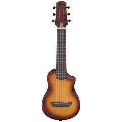 Акустична гітара Ibanez AUP10N-OLB