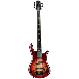 Бас-гітара Spector Euro 5 CST Natural Red Burst