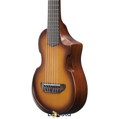 Акустична гітара Ibanez AUP10N-OLB