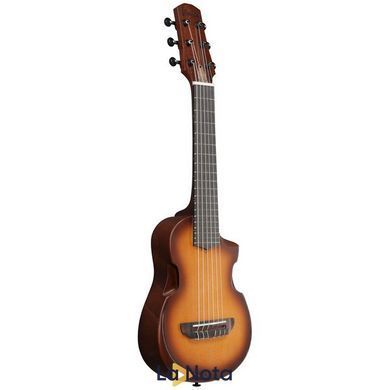 Акустична гітара Ibanez AUP10N-OLB