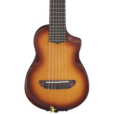 Акустична гітара Ibanez AUP10N-OLB