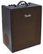 Комбоусилитель Fender ACOUSTIC SFX-II