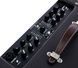 Комбоусилитель Fender ACOUSTIC SFX-II