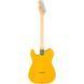 Електрогітара Fender Standard Tele MN BPG BTB