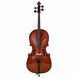 Виолончель Stentor SR1108 Cello Student II 1/2