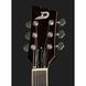 Електрогітара Duesenberg Starplayer TV Deluxe CR