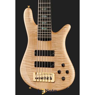 Бас-гитара Spector NS-6 Flamed Maple