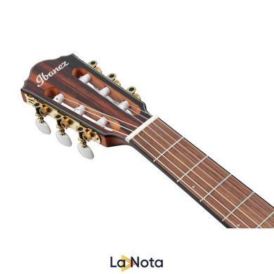 Классическая гитара Ibanez FRH10N-NTF