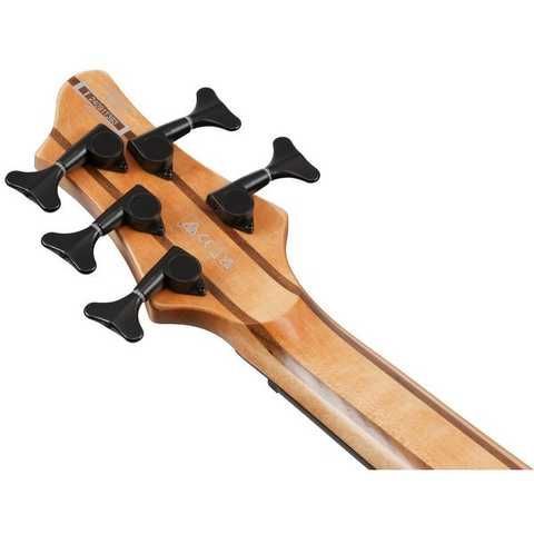 Бас-гітара Ibanez BTB805MS-FNL купити в інтернет-магазині LaNota