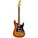 Електрогітара Fender Player Plus Stratocaster PF SSB