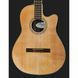 Акустична гітара Ovation Celebrity Tradition CS-24C-4-G