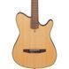 Классическая гитара Ibanez FRH10N-NTF