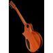 Електрогитара ESP Eclipse USA Black Cherry SB